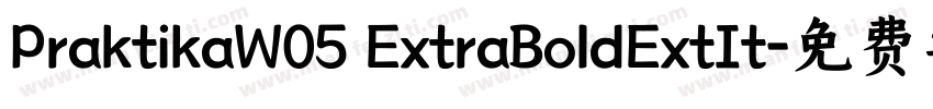 PraktikaW05 ExtraBoldExtIt字体转换